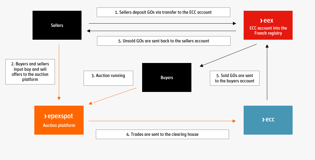 Auction Process